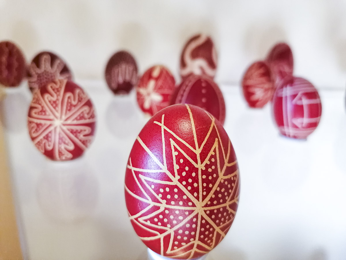 Boncina-Székely Szidónia